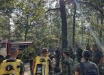 Пожарът в Пирин