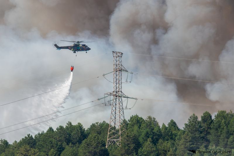 Пожарът край Илинденци