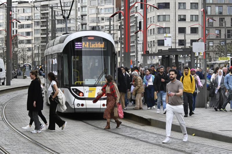 В помощ на ватманите.