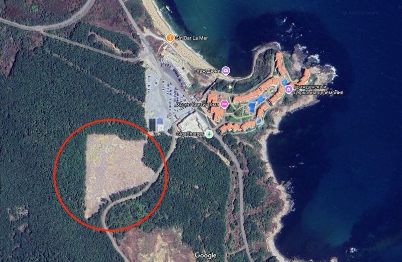 Изсечената гора в близост до Шофьорския плаж