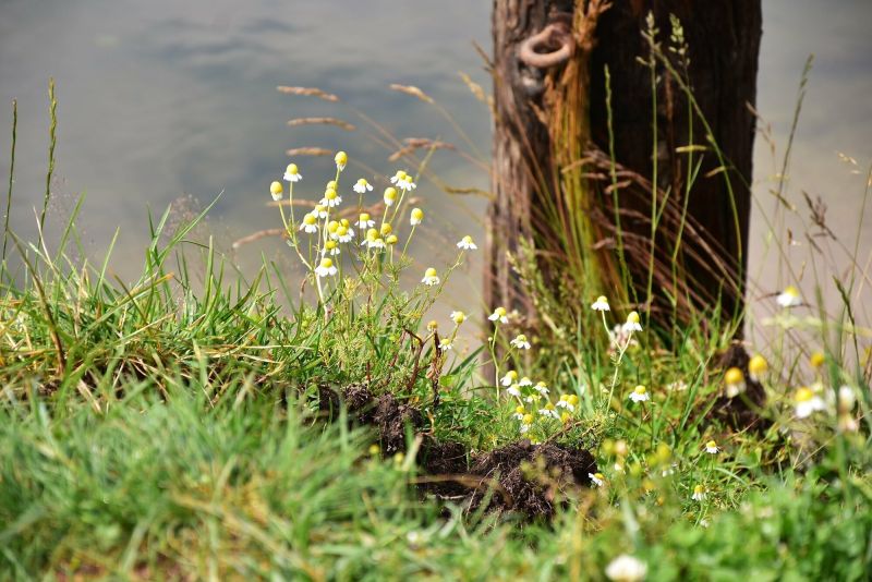 Слънчево време