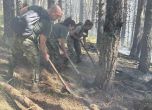 Пожарът в Рила 