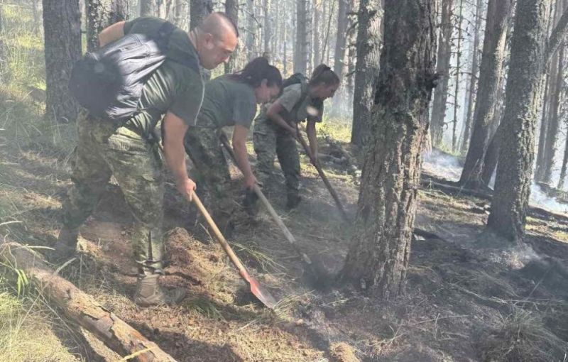 Пожарът в Рила 