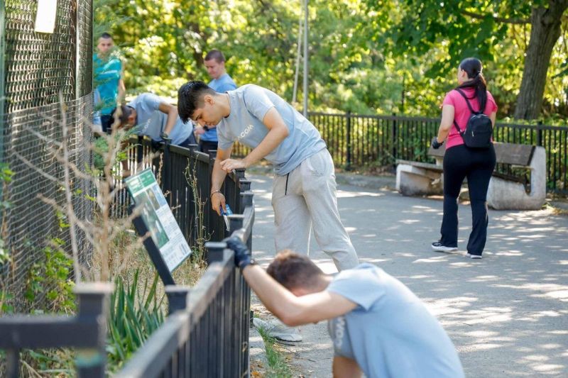 доброволци