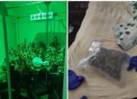 Хванаха сина на бившата шефка на спецпрокуратурата с 50 кг марихуана