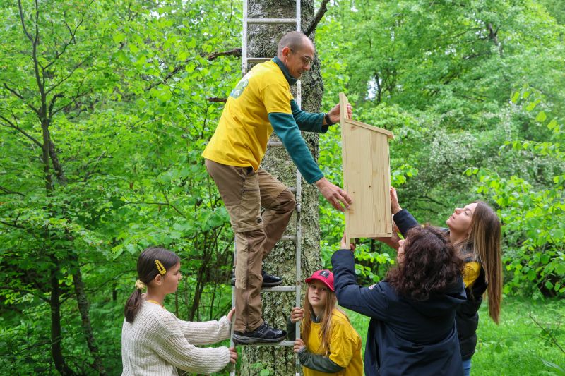 Лидл България