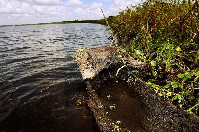 Древно кану във Флорида