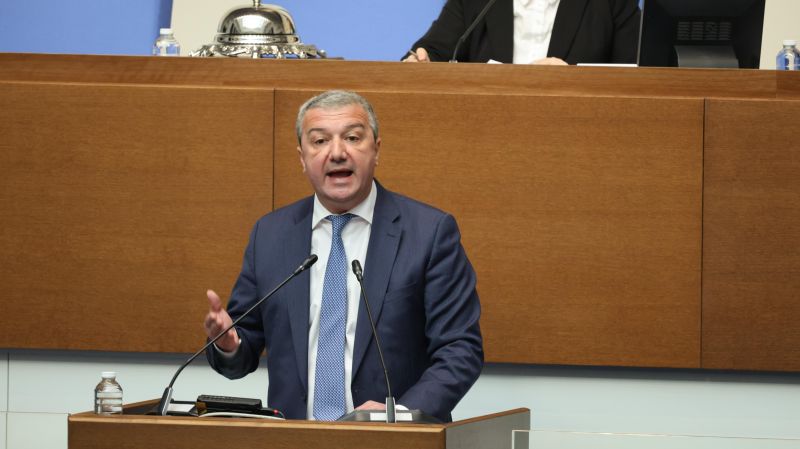 Драгомир Стойнев в парламента