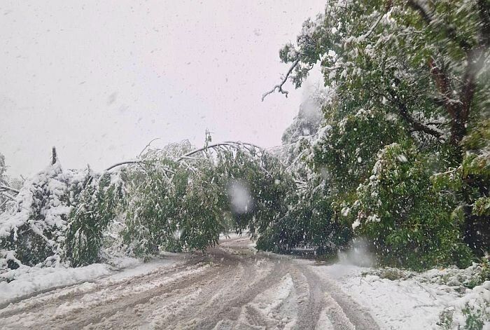 Възстановено е движението през прохода 