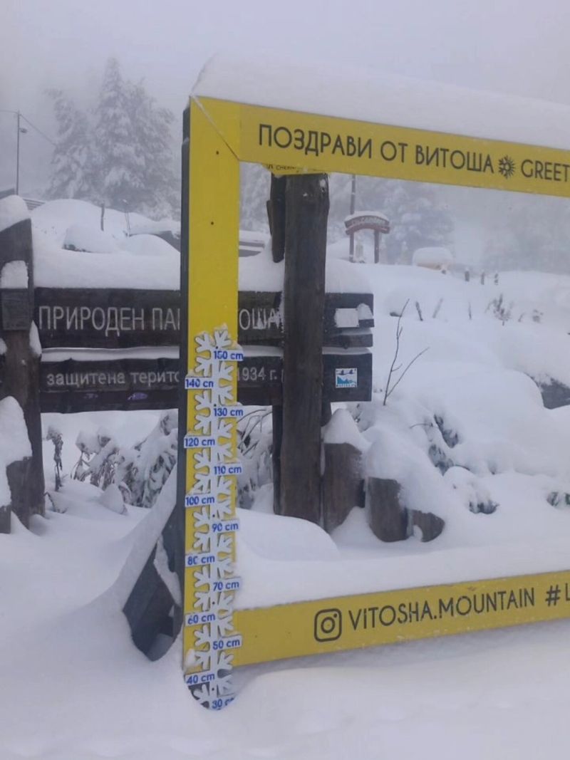 До 50 см сняг на Витоша