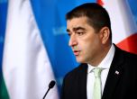 Председателят на грузинския парламент Шалва Папуашвили. Снимка: Минко Чернев/БТА (ЕК)