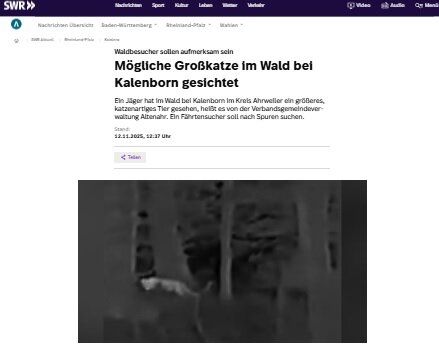 Снимка на котката в местно издание