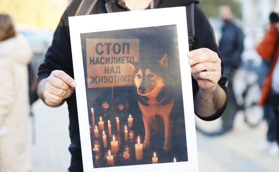 Протест пред ВМА с искане за ефективна присъда за лекаря, прегазил кучето Мая