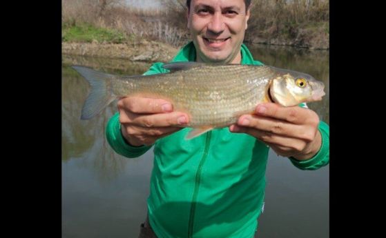 Калин Каменов