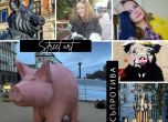 Прасето-касичка на ПП, Fuck–Q–Park, Банкси, Мирослава Петрова, Искра Ангелова - колаж