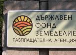 ДФЗ