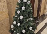 Коледната елха на Делян Пеевски