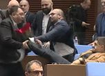 Радостин Василев рита Гюнай Далоолу