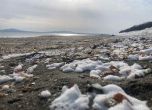 Зимна картичка: Сняг вместо пясък покри плажа в Бургас