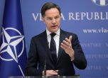 Генералният секретар на НАТО Марк Рюте. Снимка: AP Photo/Darko Bandic