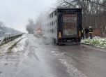Камион, превозващ 178 прасета, се запали край Хасково