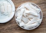 Никотинови паучове. Shutterstock