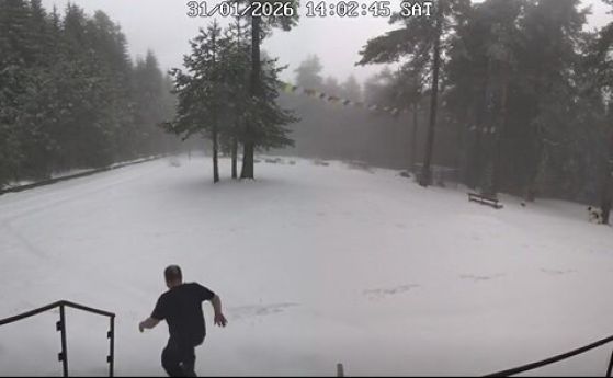 Запис от една от камерите