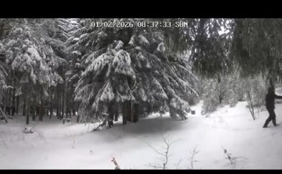 Ивайло Иванов