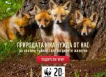 WWF