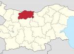 Плевенска област