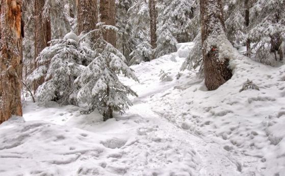 Лоши са условията за туризъм в планините