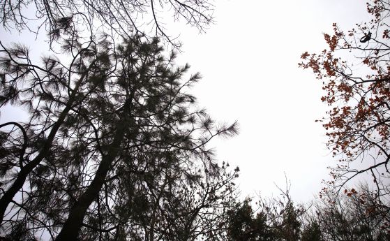 Дъжд в цялата страна, сняг в планините