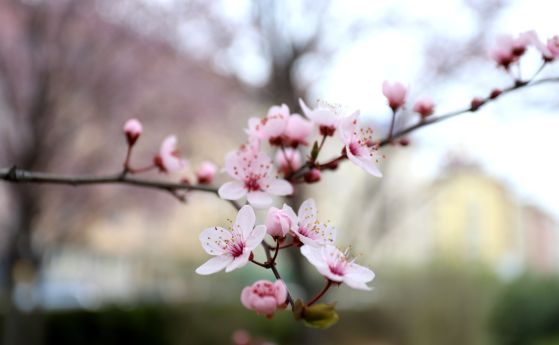 От минус 5 до 29 градуса през април