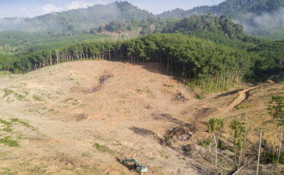 Бразилия включва банковите мениджъри в борбата с обезлесяването