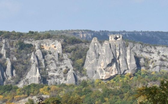МОСВ определи ''Карниолска блатница - с. Гинци'' край хижа Петрохан за защитена територия