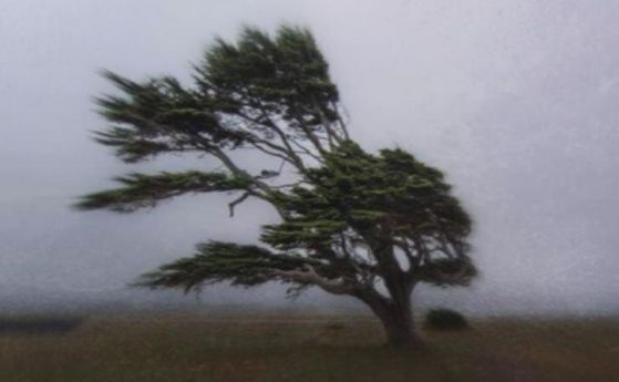 Жълт код за силен вятър в цялата страна