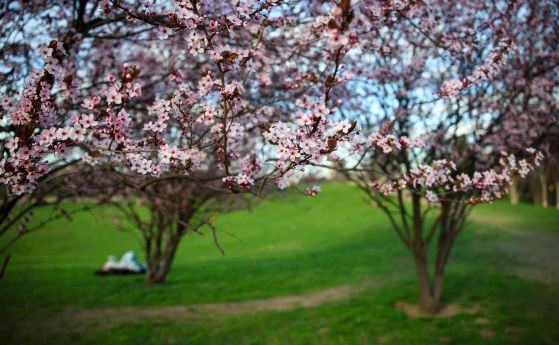 Значителна облачност със слаби валежи от дъжд