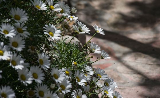 Слънчево време с малко дъжд на места