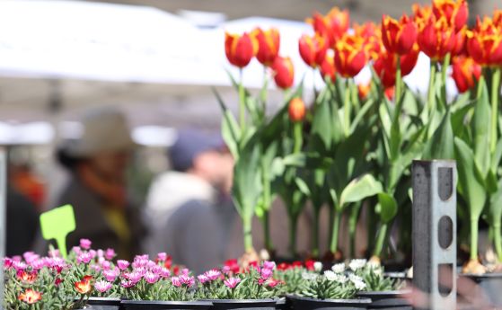 Температури около 20 градуса днес