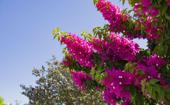 Слънчево с повече облачност в южните райони