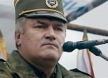 Младич