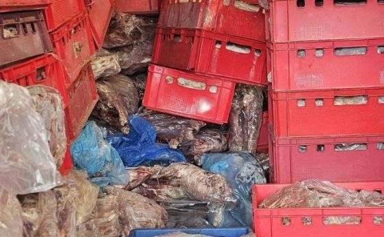 Затвориха кланица край Пловдив с 36 тона негодни храни