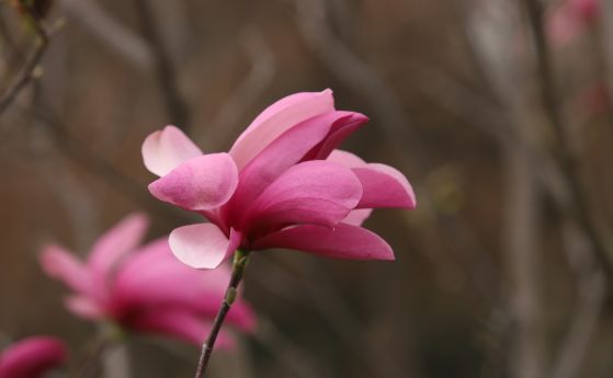 Слънце до обяд, после топъл дъжд и вятър