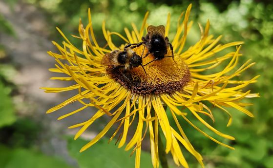 Слънце и облаци се редуват днес, в неделя до 25 градуса