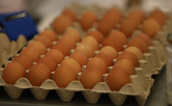 Фермери ще могат да продават директно мляко, яйца и месо при нови правила