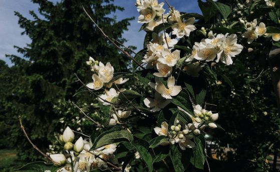 Топъл уикенд с малко вятър и много слънце