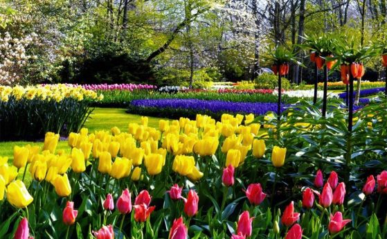 Слънчево и приятно - до 25 градуса днес