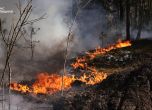 Пожар в забранената зона около Чернобилската атомна централа