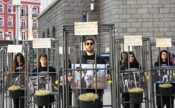 Хора в клетки протестират пред парламента