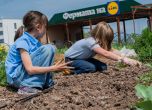 ''Фермата на Lidl'' отвори врати за сезон 2026: Стартира онлайн платформата за безплатни ученически посещения